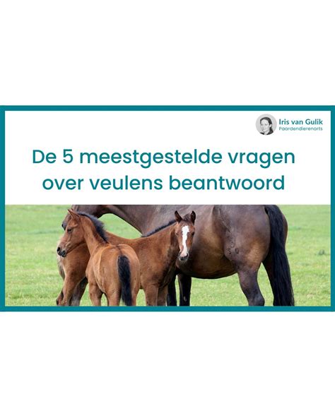 De Meestgestelde Vragen Over Haaruitval Beantwoord